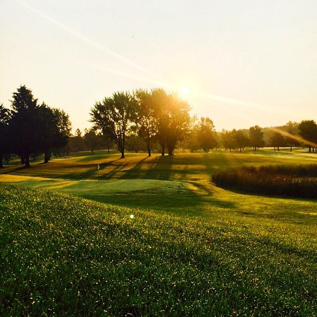 Course green at sunset 