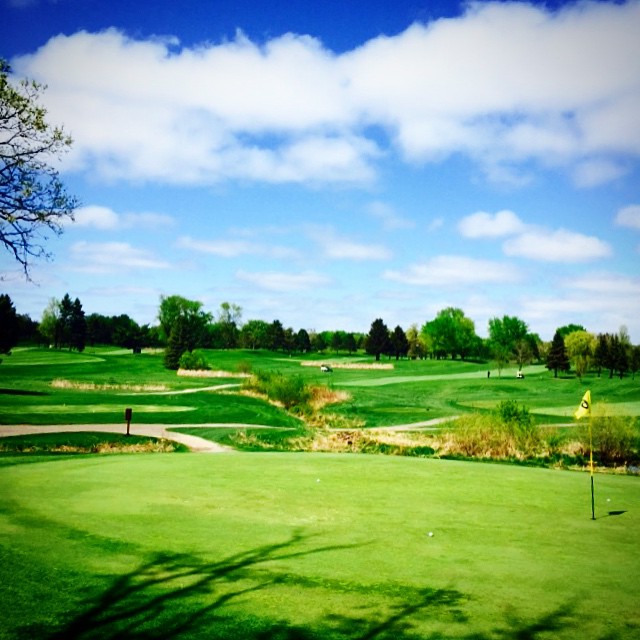 Golf course greens